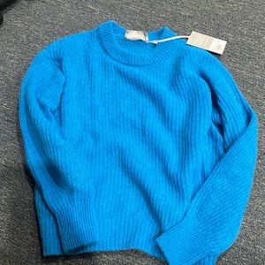 Everlane blue sweater
